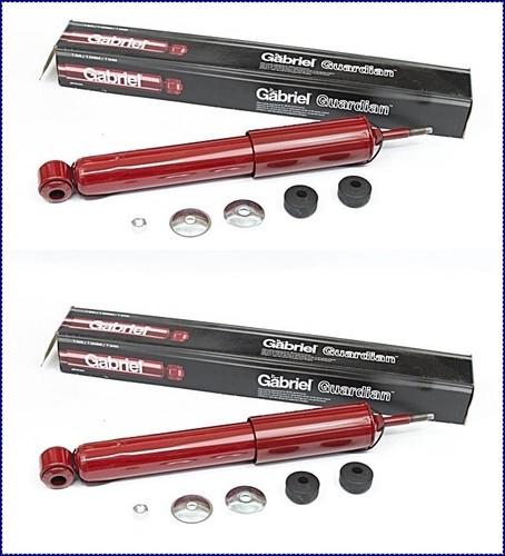 Ammortizzatori anteriori - 2x,